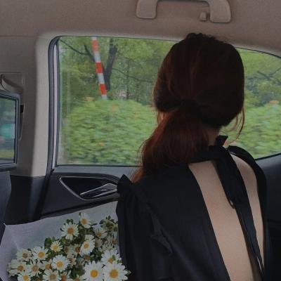 了不起的埃莉诺