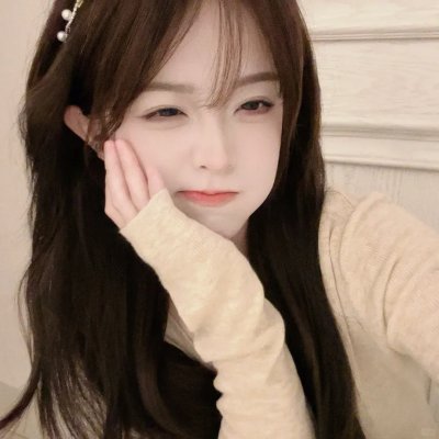 最后的维米尔